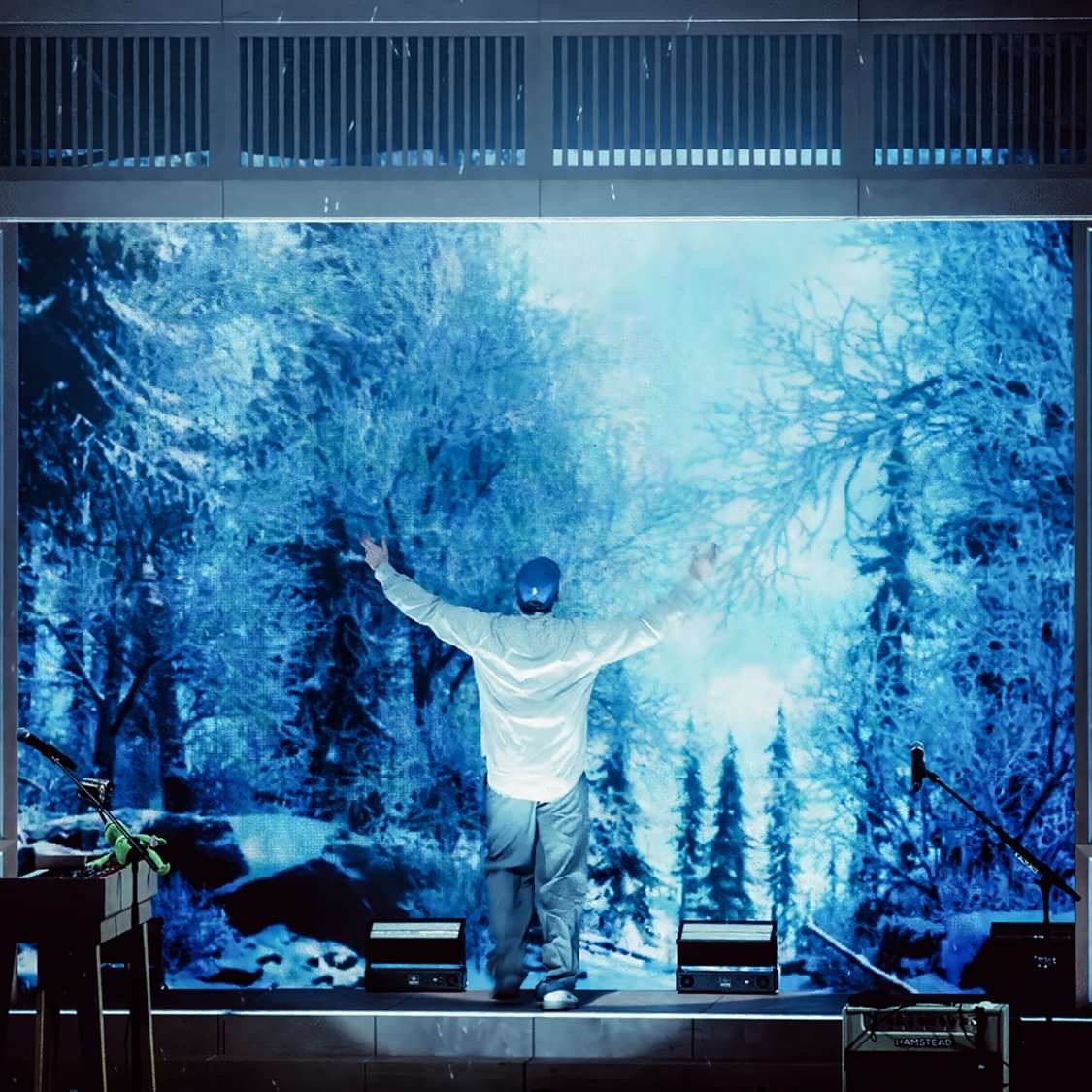 Rex Orange County concert with realtime stage visuals